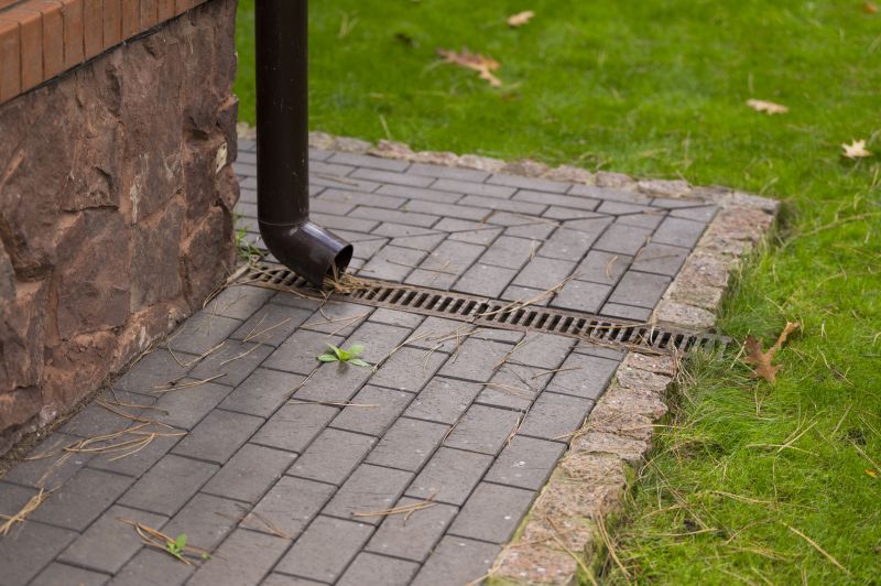 Wet Yard Drainage in Tuscaloosa, AL